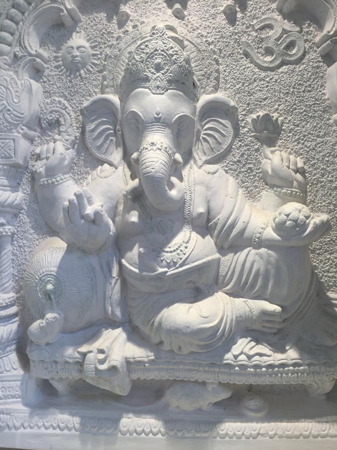 Oyo 75627 New Ankit Guest House Varanasi Exteriör bild